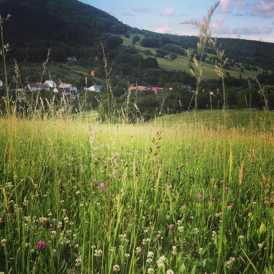 Chalupa Gabika Plavecke Podhradie Buitenkant foto